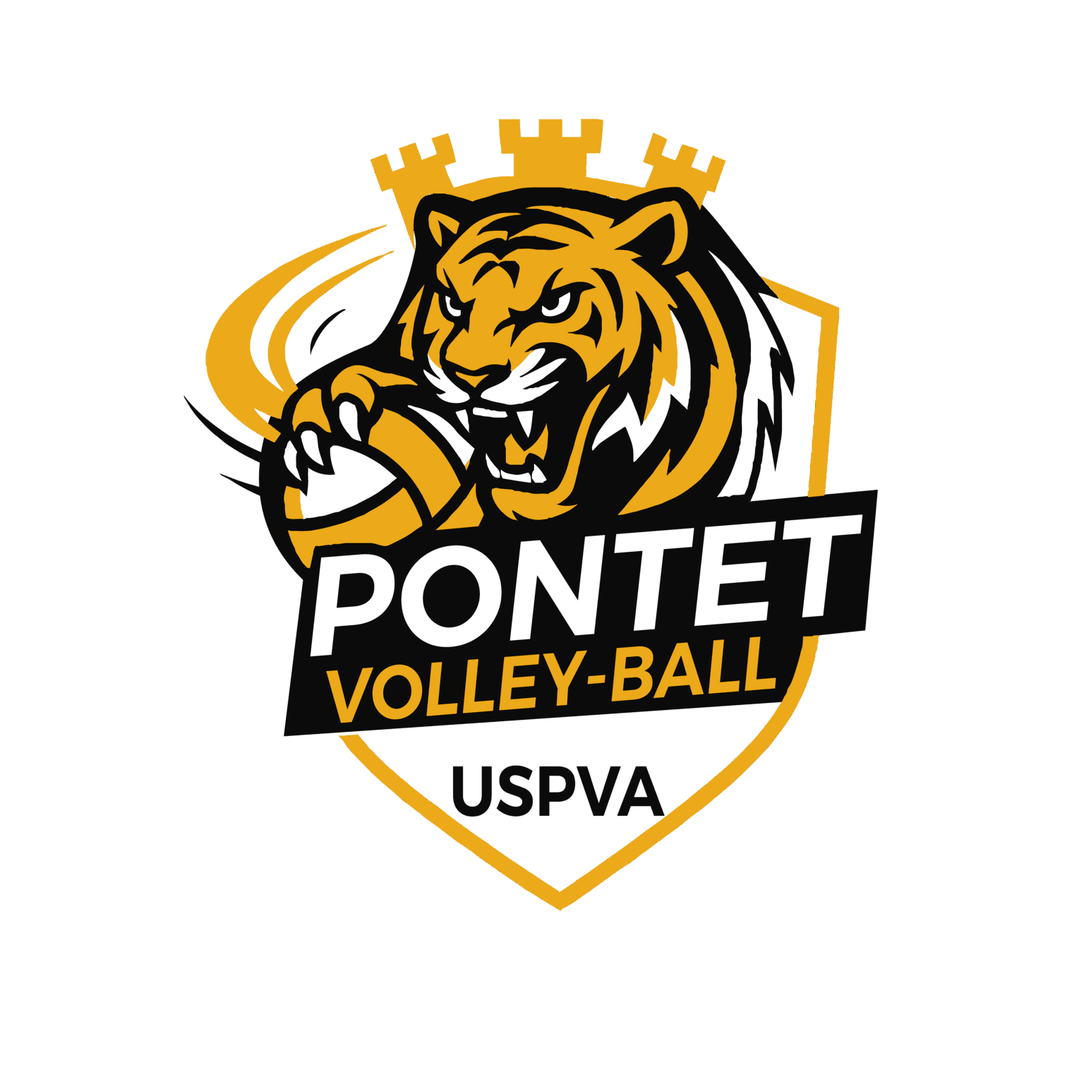 Logo USPVA pour fond Blanc et clair